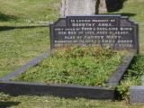 image of grave number 909087